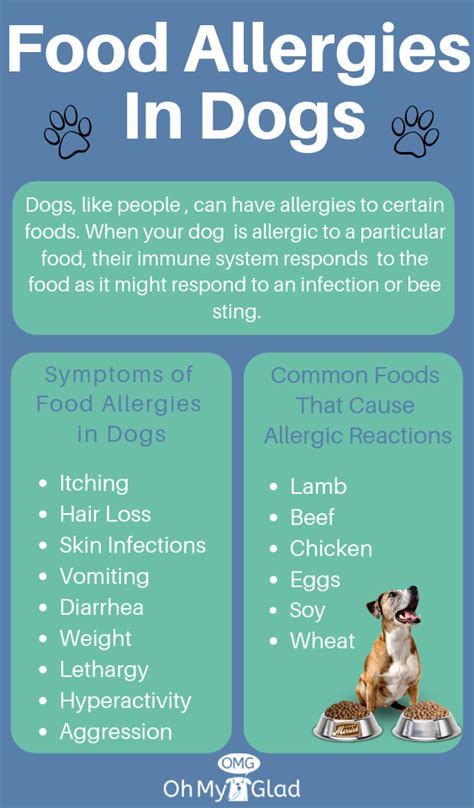 What Is The Best Food For Dog With Allergies Leeanne Solis
