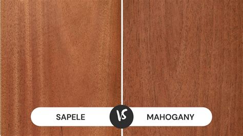 Sapele Vs Mahogany Comparison What S The Difference Cmuse