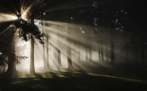 Five Ways To Find Light In The Darkness From Corrie Ten Boom Faithcounts