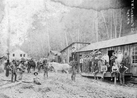 Logging Camp Tug River 2 Copy West Virginia History Appalachian People West Virginia