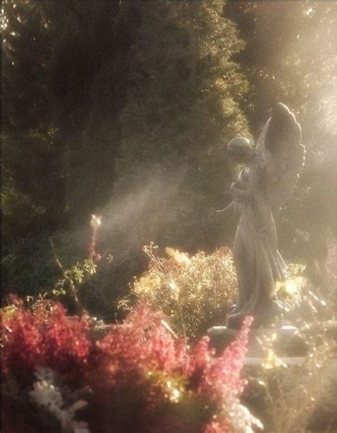 Pin By Lina On Soie Rose Ethereal Aesthetic Fairy Aesthetic Nature