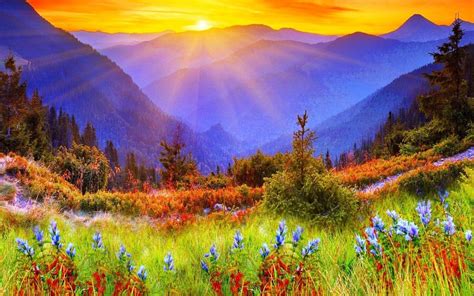 Flower Landscape Wallpapers Top Free Flower Landscape Backgrounds