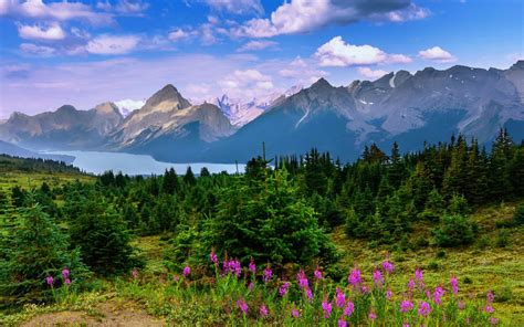 Beautiful Landscape Background Mountain Forest Trees Lake Flowers