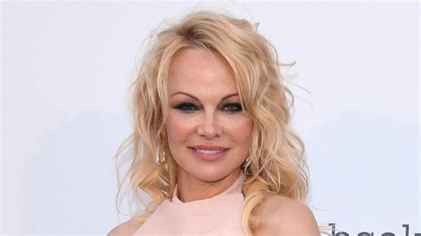 Pamela Anderson Calls On Taoiseach To Ban Hare Coursing