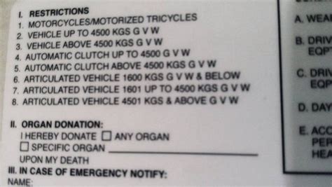 Heres Your Guide To Pro Drivers License Requirements In 2020