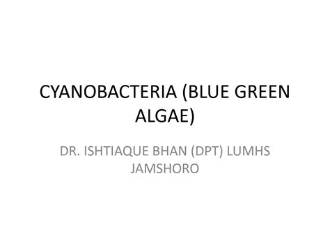 Solution Cyanobacteria Blue Green Algae Studypool