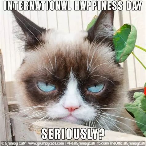 14 Hilarious Grumpy Cat Memes That Will Make You Smile Grumpy Cat