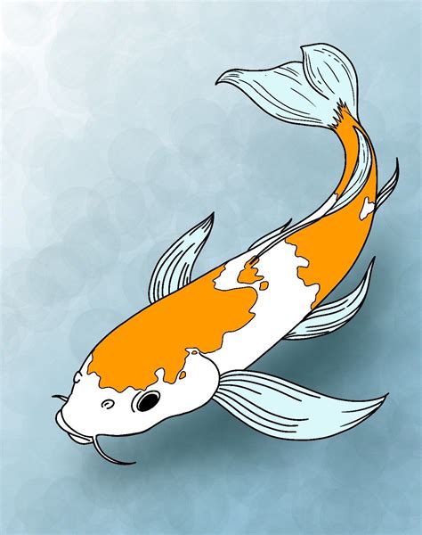 How To Draw Koi Fish Koi Fish Drawing Fish Drawings Koi Art