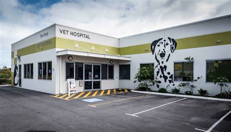 Make An Appointment With Our Veterinary Hospital