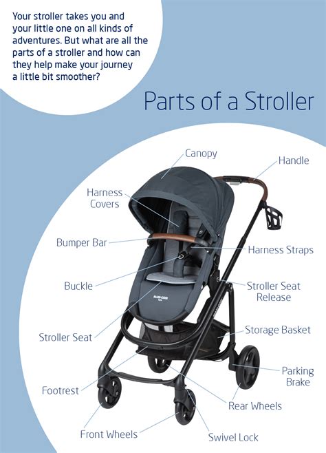 What To Look For In A Stroller Maxi Cosi Blog