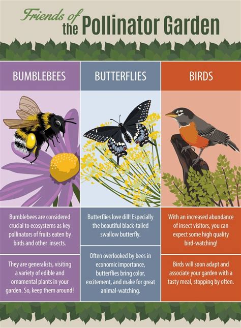 Creating A Native Pollinator Garden Pollinator Species Pollinator