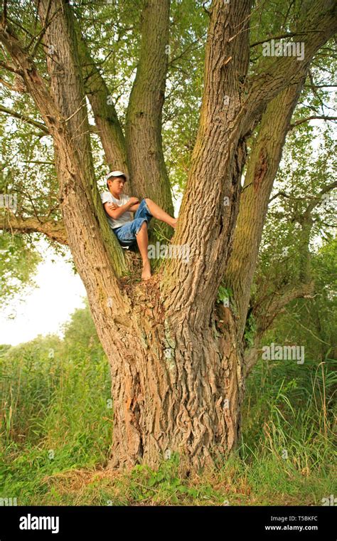 Page Boy Climbing Tree Barefoot High Resolution Stock Photography