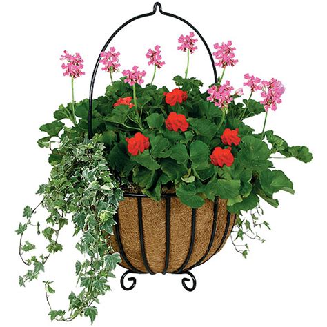 Horticulture Landscaping Hanging Containers