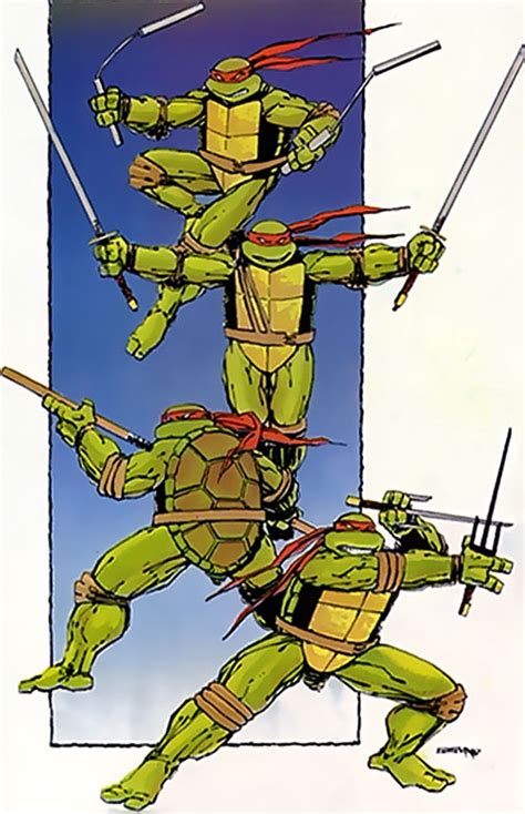 Teenage Mutant Ninja Turtles Mirage Comics Classic Profile