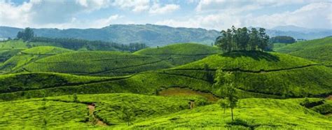 8 Places To Visit In Kottayam Which Considered As Peaceful