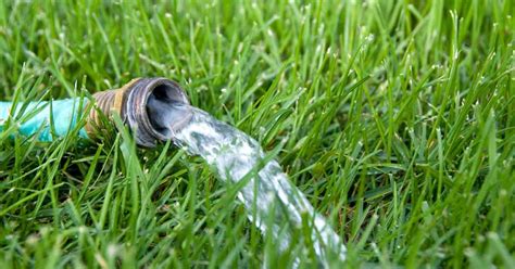 How To Water Your Lawn Wisely