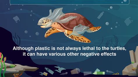 Saving Marine Life Novel Method Quantifies The Effects Of Plastic On