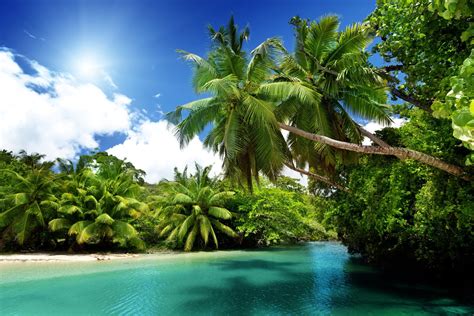 тропический рай пляж море синий изумруд океан пальмы летом отдых
