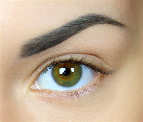 Brown Eyebrows Permanent Makeup Gemma Kennelly