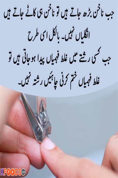 Aqwal E Zareen In Urdu Images Urdu Image Quotes Deep Meaningful