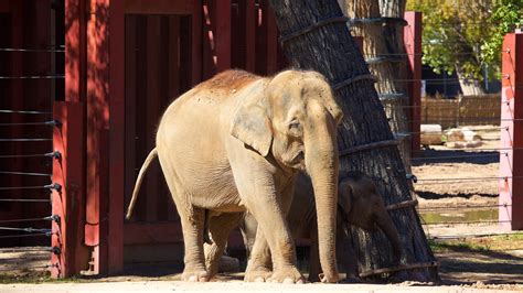 Abq Biopark Zoo In Albuquerque New Mexico Expedia