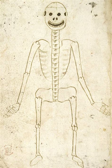 The Skeletal System From A Medical Treatise England 15th Century