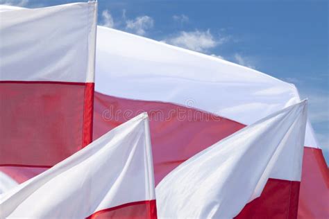 Multiple Polish Flags Flying Against The Sky Stock Photo Image Of