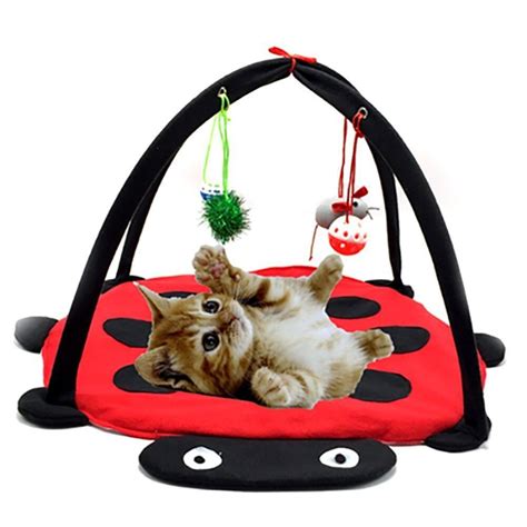 Pet Play Cat Tent Bed Funny Colorful Kitten Pad Cushion Exercise