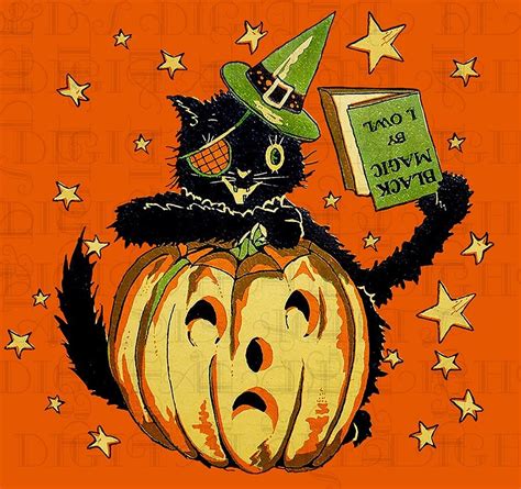 A Black Cat Sitting On Top Of A Pumpkin Wearing A Witches Hat And