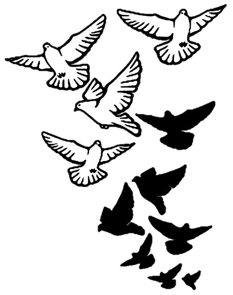 Columbidae Bird Tattoo Drawing Domestic Pigeon Pigeon Png Download