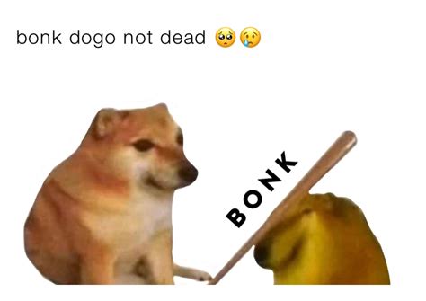Bonk Dogo Not Dead 🥺😢 Dankkmemes2001 Memes