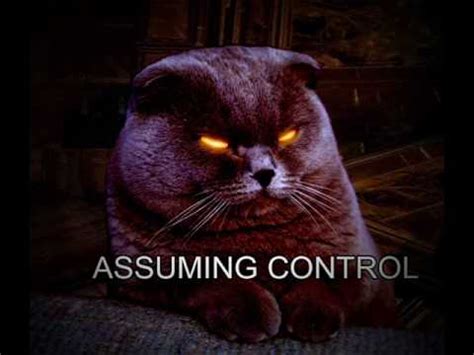 Assuming Control Know Your Meme