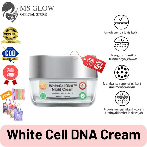 Ms Glow White Cell Dna Night Cream White Cell Dna Night Cream Ms Glow Cream White Cell Dna