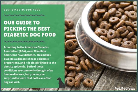 That's why we've scoured the internet for the best homemade dog food recipes for big dogs. 10 Best Diabetic Dog Food Brands (Non-Prescription) in 2019 | Dog food recipes, Diabetic dog ...