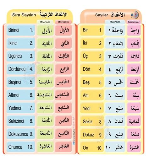 Arapça Rakamlar Ve Sıra Sayıları Telaffuzz Dilbilgisi Arapça Dili