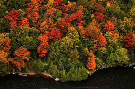 Fall foliage in New England impacted by 'extreme drought,' recent storms
