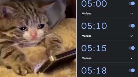 We did not find results for: Poner la alarma a la 1 AM para despertar a las 5 AM causa ...