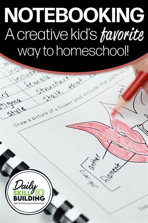 Notebooking A Creative Kids Favorite Way To Homeschool