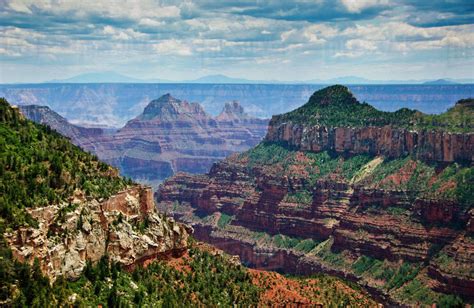 North Rim Gran Canyon Grand Canyon National Park Az Stock Photo