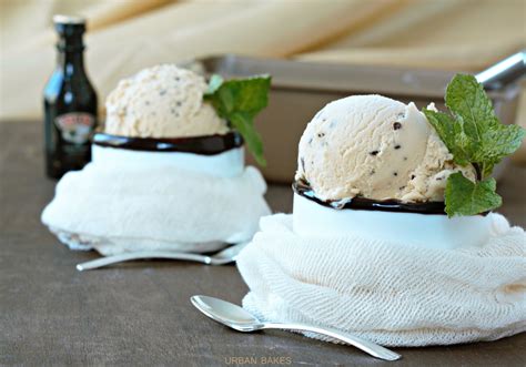 Easy Homemade Baileys Irish Ice Cream Adult Desserts Ice Cream