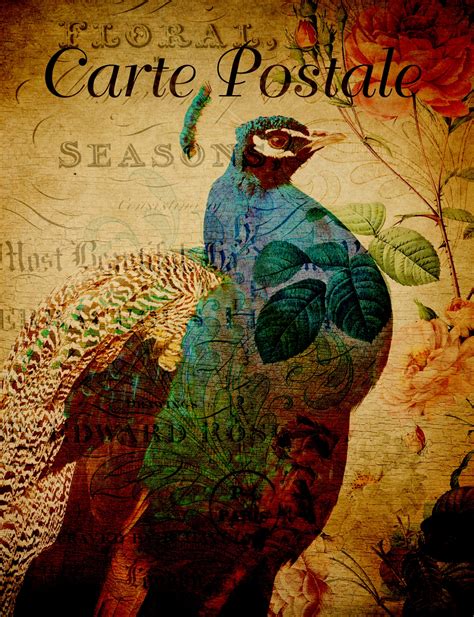 I get so disappointed when i fall in love with the perfect image then realize i can't use it. Peacock Vintage French Postcard Free Stock Photo - Public ...
