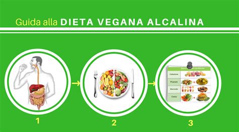 Guida Completa Alla Dieta Vegana Alcalina I 3 Passi Fondamentali Per