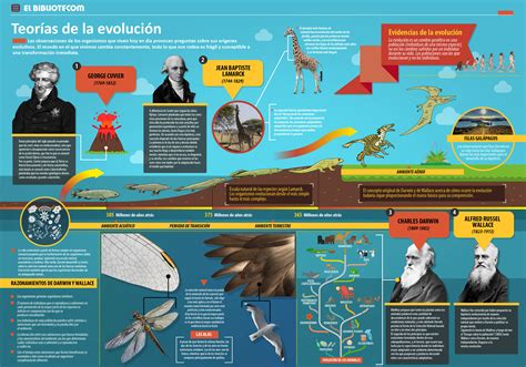 Teoria De La Evolucion Teoria Evolutiva Darwin Y La Evolucion