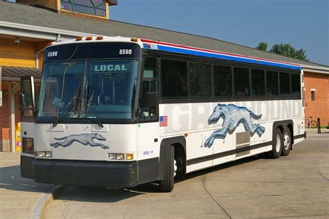 Local Bus Service Set To Cover Greyhound Routes Navigator