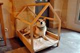 Nice Beds For Dogs