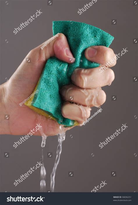 Squeezing Sponge Squeezing Wet Sponge Stock Photo 36836251 Shutterstock