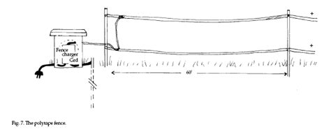 A solid electric fence wire is often the most popular type used when constructing an electric fence. Animal Removal Professionals, Other Mammals, Deer