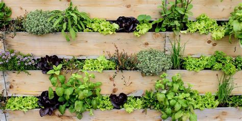 The 6 Best Vertical Garden Kits In 2023 The Homesteading Rd