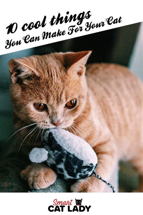 10 Cool Things You Can Make For Your Cat In 2020 With Images Cats