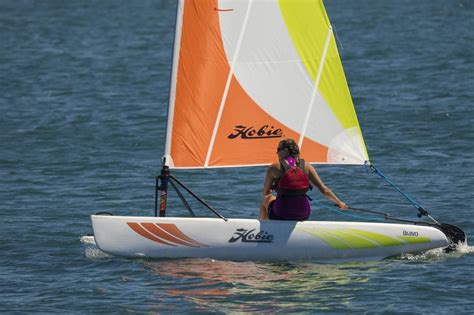 Hobie Cat For Sale Florida Cat Meme Stock Pictures And Photos